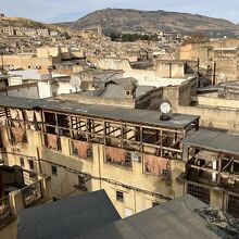 なめした皮が下がっています