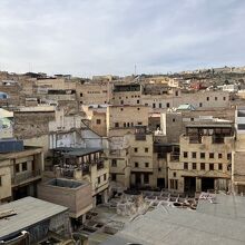 フェズ川沿いなので旧市街の最も低いところか