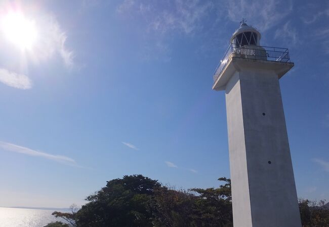 太平洋の広さを感じます。