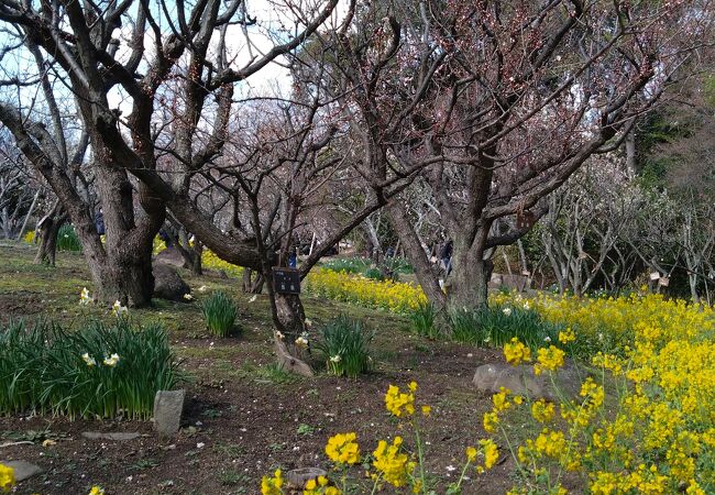 須磨離宮公園