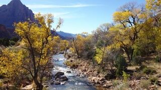 11月は黄葉が美しい