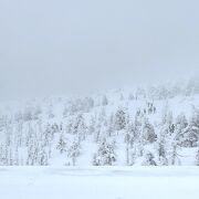 雪質がよい温泉街にあるスキー場