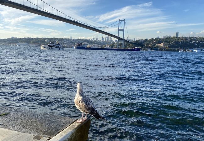 狭くて海流が早く、タンカーがよく通過する