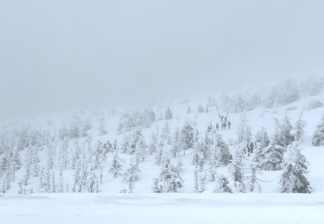 雪質がよい温泉街にあるスキー場