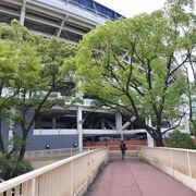 横浜スタジアム