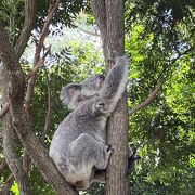 家族連れにはおすすめ