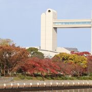 白鳥庭園に隣接する公園