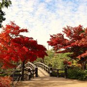 紅葉が綺麗な日本庭園