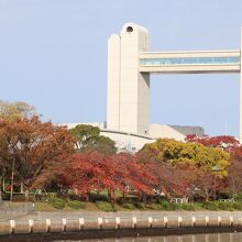 白鳥公園