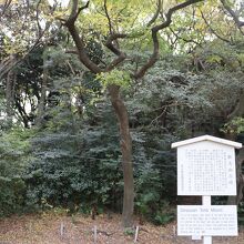 断夫山古墳