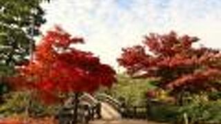 紅葉が綺麗な日本庭園