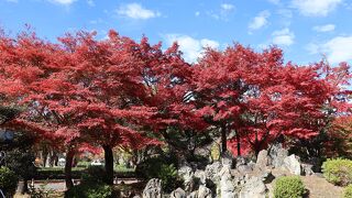 二之丸東庭園