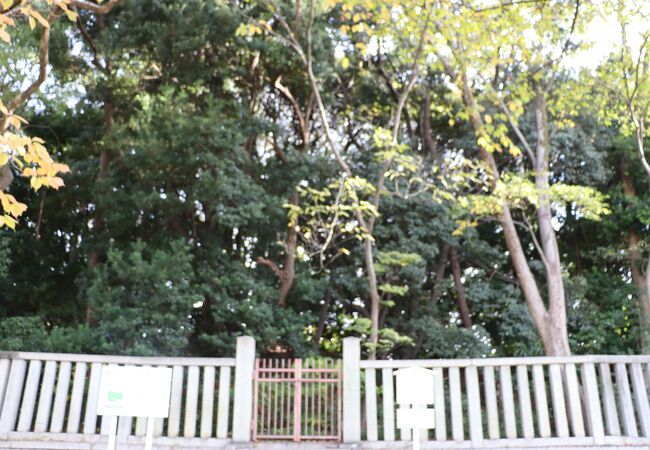 日本武尊の陵？