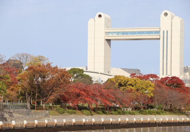 白鳥庭園に隣接する公園