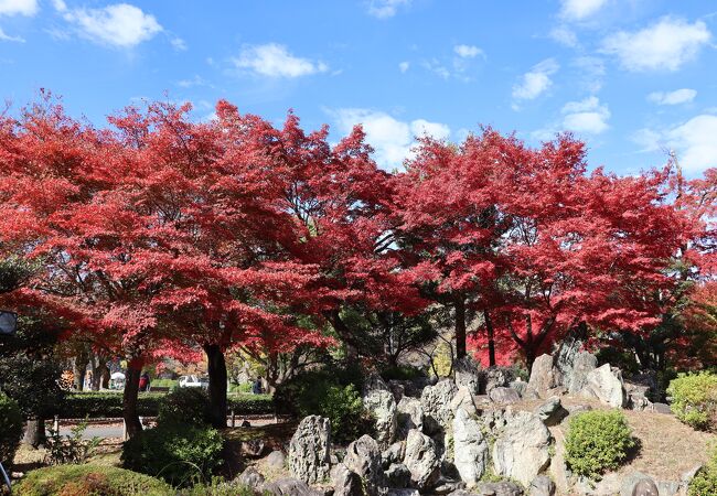 二の丸東庭園の紅葉も綺麗