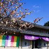 広い境内の北寄りにある新しい大きな御堂
