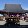 数々の池上本門寺の塔頭寺院を含めてグルっとお参りしました