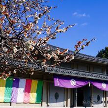 池上本門寺 本殿