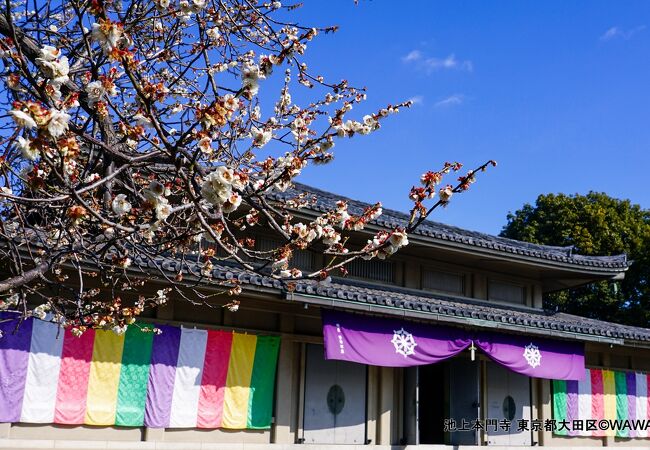 池上本門寺 本殿