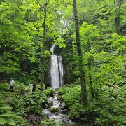 渓流脇でなく道路わき