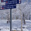 雪質日本一のローカルなスキー場