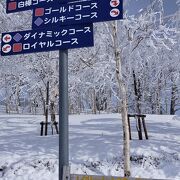 雪質日本一のローカルなスキー場