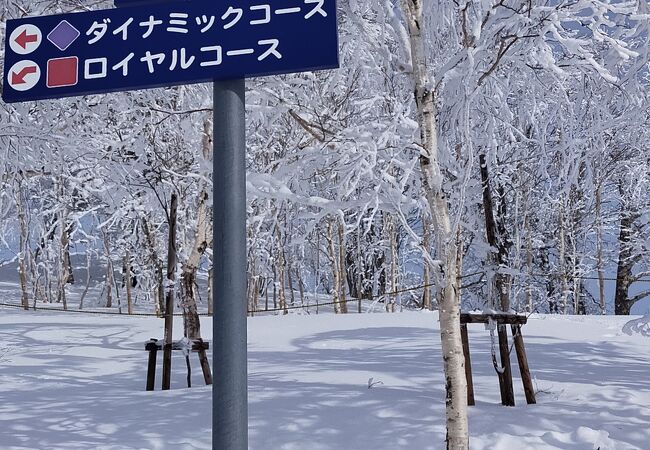 雪質日本一のローカルなスキー場