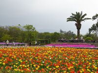 和泉リサイクル環境公園