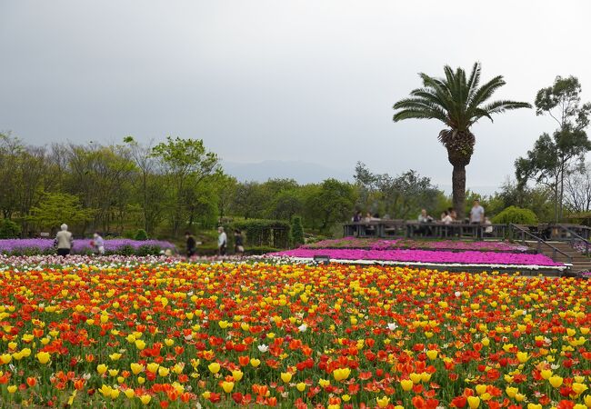 和泉リサイクル環境公園