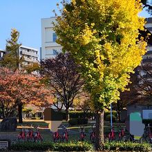 白川公園