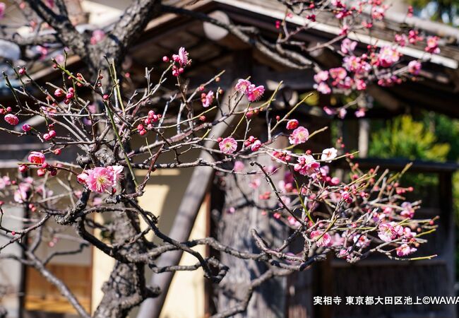 實相寺