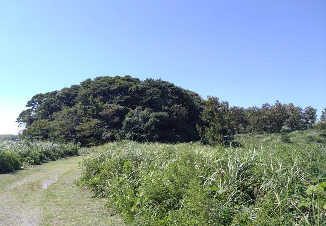 おとぎ話に出てきそうな森