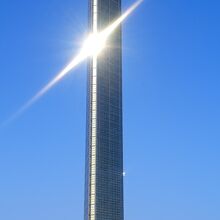 太陽の光を受け、まぶしいくらいに輝いています