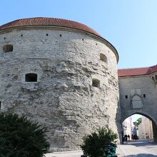 左手は「ふとっちょマルガレータ」