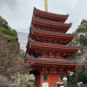 大仏、五重塔もある東長寺