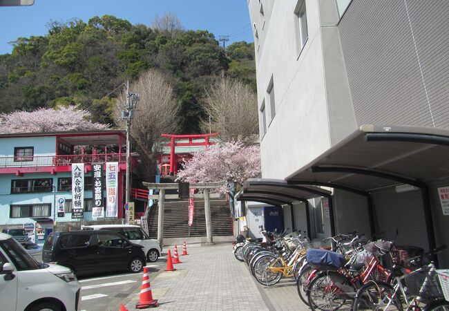 阿波踊り会館の奥