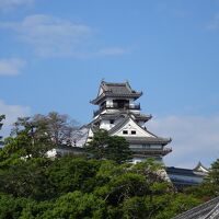 高知城が見えます