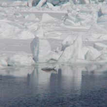 知床海岸の流氷