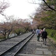 桜の名所