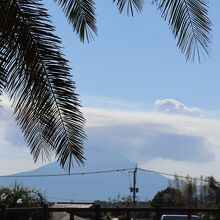 桜島山頂には雲・・でも良い感じで桜島は見れると思います