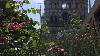 サントシャペルやノートルダム大聖堂