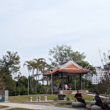 公園の様子です