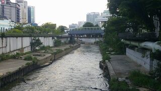 あまり綺麗な川ではないですが…