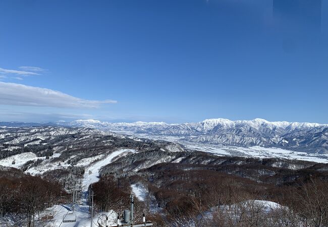 ありがとうございました。