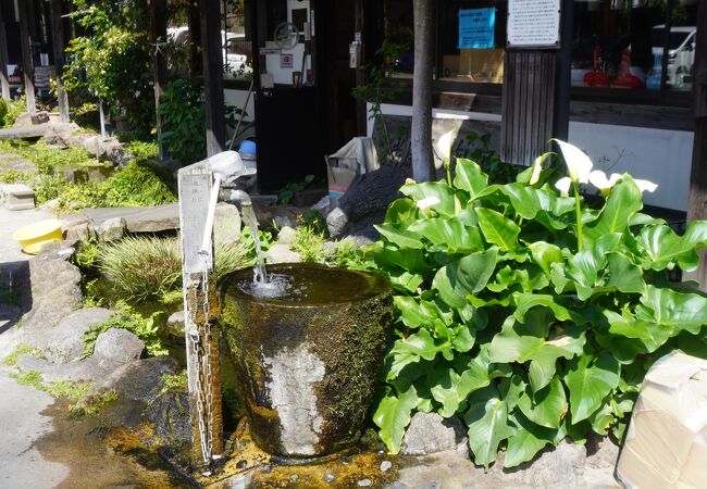 速魚川の湧水