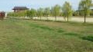 今後の復原が楽しみです