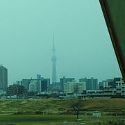 凛と立つ