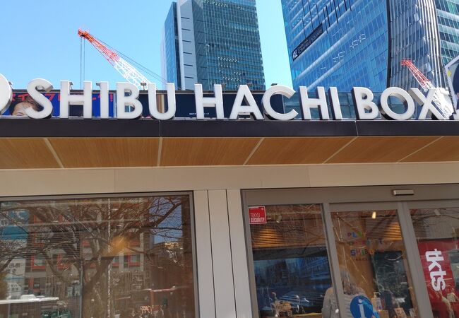 SHIBU HACHI BOX