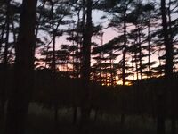 えびの高原キャンプ村