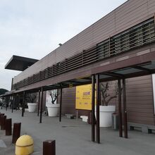 アメリーゴ ヴェスプッチ空港 (フィレンツェ ペレトラ空港) (FLR)